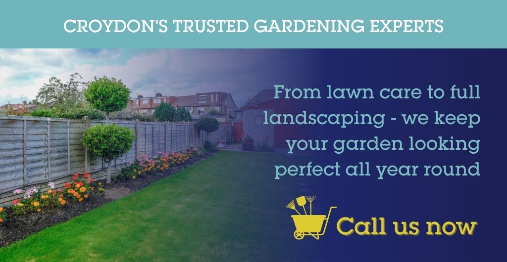 Winter garden tidy – Seasonal garden preparation in Woldingham Garden Village - Gardening Croydon